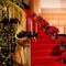 20-Inch Red Velvet Poinsettia Bush with 7 Lifelike Silk Blooms for Christmas Decor - Indoor/Outdoor Use | 2024 Christmas Collection, Floral Home by Artificial Flowers